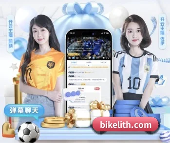 平台简介